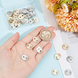 2-Hole 304 Stainless Steel Sewing Buttons, Flat Oval, Golden & Stainless Steel Color, 14x12x0.8~1mm, Hole: 2mm, 2 colors, 20pcs/color, 40pcs/box