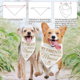 Cotton Dog's Kerchief, Triangle Pet's Bandana, Wedding Theme, Word, 380x780mm