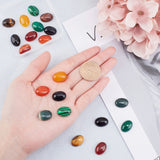 Natural & Synthetic Gemstone Oval Cabochons, Flat Back, Mixed Dyed and Undyed, 18x13x6.5~8mm, 20pcs/box