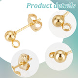 80Pcs 316 Surgical Stainless Steel Stud Earring Findings, Ball Stud Earring Post, with Vertical Loop and 80Pcs 304 Stainless Steel Ear Nuts, Real 18K Gold Plated, 15x7mm, Hole: 2mm, Pin, 0.8mm