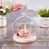 Glass Dome Cover, Diamond-Shaped Handle Decorative Display Case, Cloche Bell Jar Terrarium with Wood Base, Wheat, Finish Product: 11.9x13cm