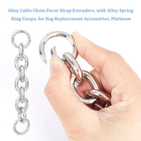 2PCS Alloy Cable Chain Purse Strap Extenders, with Alloy Spring Ring Clasps, for Bag Replacement Accessories, Platinum, 15.5cm