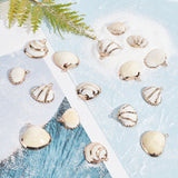 Electroplate Sea Shell Pendants, with Light Gold Plated Iron Findings, Seashell Color, 16pcs/box