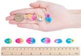 Spray Paint Cowrie Shell Beads, Two Tone, No Hole/Undrilled, Colorful, 20~26x13~18x5~7mm, 10pcs/color, 30pcs/box