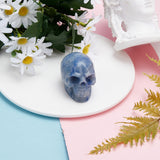 Halloween Natural Blue Aventurine Home Decorations, with Velvet Bag, Skull, 38x32x51mm, 1pc/bag