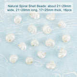 Natural Spiral Shell Beads, No Hole, Antique White, 21~29x21~29x17~25mm, 16pcs/box