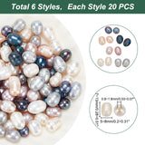 120Pcs 6 Style Large Hole Pearl Beads, Natural Cultured Freshwater Pearl Loose Beads, Oval, Mixed Color, 7~13x5~8mm, Hole: 0.8~1.8mm, 20pcs/style