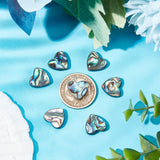 Natural Abalone Shell/Paua Shell Beads, Heart, Colorful, 14x14x4mm, Hole: 1.2mm, 10pcs/box