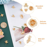 12Pcs 3 Style Brass Stud Earring Findings, with Vertical Loops and 30Pcs Plastic Ear Nuts, Real 18K Gold Plated, 13.5~19x15~19mm, Hole: 1.2~1.4mm, Pin: 0.8mm, 4Pcs/style