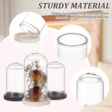 15Pcs Mini Glass Dome Cover, Decorative Display Case, Cloche Bell Jar, with 15Pcs Wood Base, Mixed Color, Tray Settings: 34.5x5mm; Cover: 39~59x29.5~30mm, Inner Diameter: 25.5~26mm