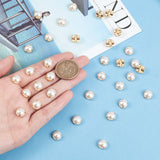 Sew on Acrylic Imitation Pearl, Montee Beads, Two Holes, Garment Accessories, Half Round, Golden, 9.5x5.5mm, Hole: 1.2mm, 200pcs/bag