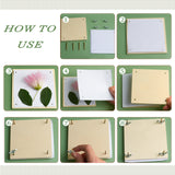 Flower & Leaf Press Kit, including Wood Experimental Table Assembly Accessories & Paper, Blanched Almond, 14pcs/set