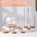 6 Sets Glass Dome Cover, Decorative Display Case, Cloche Bell Jar Terrarium with Cork Base, Round, Clear, 64.5x70.5mm, Inner Diameter: 39mm