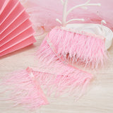 Ostrich Feather Tassel Ribbon, Dyed Feather Polyester Fringe Trimming, Costume Accessories, Pink, 130x0.5mm