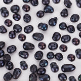 1 Strand Natural Cultured Freshwater Pearl Beads Strands, Dyed, Oval, Black, 6~8x7~8.5mm, Hole: 0.5mm, about 22pcs/strand, 7.20 inch(18.3cm)
