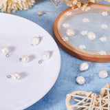Natural Cultured Freshwater Pearl Pendants, with Brass Findings, Creamy White, 16x9~10mm, Hole: 3mm, 10pcs/box