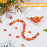 1 Strand Natural Red Agate Beads Strands, Round, Grade A, 8mm, Hole: 1mm, about 45pcs/strand, 16 inch