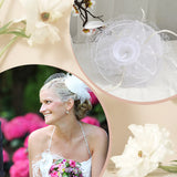 1M Polyester Mesh Fabric, for DIY Bride Veils Hats Fascinators, Clear AB, 28cm