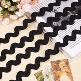 10 Yards Polyester Wavy Fringe Trim Ribbon, Wave Bending Lace Trim, for Clothes Sewing and Art Craft Decoration, Black, 3/4~1-3/8 inch(20~34mm)