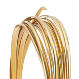 Half Round Brass Wire for Jewelry Making, Raw(Unplated), 3x1mm