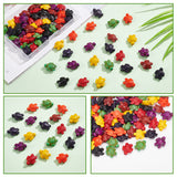 80Pcs 8 Colors Dyed Synthetic Turquoise Beads, Tortoise, Mixed Color, 17~18x14x6~8mm, Hole: 1mm, 10pcs/color