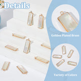 10Pcs Natural Paua Shell/Abalone Shell Pendants, Rectangle Charms, with Golden Tone Brass Frame, White, 27x9x4mm, Hole: 1.5mm