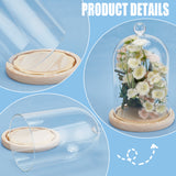 Glass Dome Cover, Decorative Display Case, Cloche Bell Jar Terrarium with Wood Base, for DIY Preserved Flower Gift, Cornsilk, 143x217mm