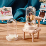 Glass Dome Cover, Decorative Display Case, Cloche Bell Jar Terrarium with Wood Base, for DIY Preserved Flower Gift, Clear, 62x108mm