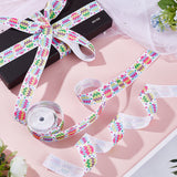 Easter Printed Polyester Grosgrain Ribbon, for Gift Wrapping, Floral Bows Crafts Decoration, Egg, 1 inch(25mm)