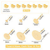 304 Stainless Steel Stud Earring Settings, with Ear Nuts/Earring Backs, Bead Container, Flat Round, Golden, 7.4x7.2x1.7cm, 120pcs/box