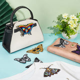 8Pcs 8 Style Moth Computerized Embroidery Cloth Iron on/Sew on Patches, Costume Accessories, Appliques, Mixed Color, 55~83x63~102x1.2~1.9mm, 1pc/style