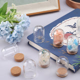 20Pcs Glass Dome Cloche Cover, Bell Jar, with Cork Base, For Doll House Container, Dried Flower Display Decoration, Clear, 36.5x22mm