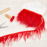 Ostrich Feather Tassel Ribbon, Dyed Feather Polyester Fringe Trimming, Costume Accessories, Red, 130x0.5mm