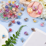 Transparent Glass Globe Pendants, with Resin & Resin Rhinestone & Conch Shell & Glass Micro Beads inside, Plastic CCB Pendant Bails, Round, Golden, Mixed Color, 21.5x16mm, Hole: 2mm, 11 Colors, 6pcs/color, 66pcs/box