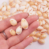 Natural Cowrie Shell Beads, Oval, Seashell Color, 10~19x7~12x5~10mm, Hole: 1~2mm