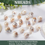 1 Strand Natural Baroque Pearl Keshi Pearl Beads Strands, Cultured Freshwater Pearl, Nuggets, Creamy White, 14~28x12~16x12~16mm, Hole: 0.6mm, about 19~26pcs/Strand, 15.75 inch(40cm)