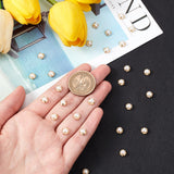 Sew on Acrylic Imitation Pearl, Montee Beads, Two Holes, Garment Accessories, Half Round, Golden, 5.5x3.5mm, Hole: 1.2mm, 500pcs/bag