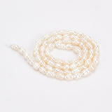 1 Strand Natural Cultured Freshwater Pearl Beads Strands, Rice, Seashell Color, 5~7x3~4mm, Hole: 0.6mm, about 65pcs/strand, 13.39 inch(34cm)