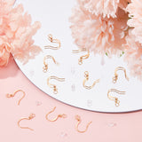 120Pcs Brass Earring Hooks, with Horizontal Loop and Beads, with 120Pcs Plastic Ear Nuts, Golden, 16x15.5x2.5mm, Hole: 2.5mm, 24 Gauge, Pin: 0.5mm