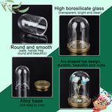 10 Sets Glass Dome Cover, Decorative Display Case, Cloche Bell Jar Terrarium with Alloy Base, for DIY Preserved Flower Gift, Clear, Cover: 25x38.5mm, Inner Diameter: 21.5mm, Base: 28x4.5mm