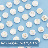 Natural Shell Beads, Flat Round with Golden Tone Metal Number & Letter Slice, Seashell Color, 8x3~5mm, Hole: 0.5~0.9mm