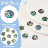 8Pcs Natural Abalone Shell/Paua Shell Cabochons, Colorful, Flat Round, 19.5x1.6mm