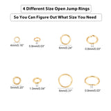 304 Stainless Steel Jump Rings, Open Jump Rings, Golden & Stainless Steel Color, 800pcs/box