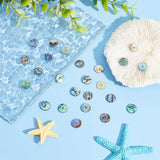 Natural Paua Shell/Abalone Shell Beads, Disc/Flat Round, Heishi Beads, Colorful, 10x1mm, Hole: 1mm, about 40pcs/box