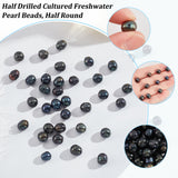 2 Strands Natural Cultured Freshwater Pearl Beads Strands, Dyed, Potato, Black, 6~8x7~8.5mm, Hole: 0.5mm, about 22pcs/strand, 7.20 inch(18.3cm)