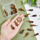 20Pcs Natural Tiger Eye Pendants, with Stainless Steel Snap On Bails, Teardrop Charm, 28~30x10~12mm, Hole: 6x4mm