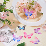 120Pcs 6 Colors Gradient Color Double Layer Fibre Tulle Ornament Accessories, 3D Craft Organza Butterfly, with Crystal Rhinestone, Mixed Color, 45x37x3mm, 20pcs/color