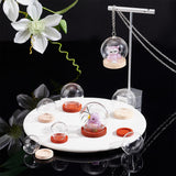8 Sets 8 Style Round Glass Dome Cover, Decorative Display Case, Cloche Bell Jar Terrarium with Wood, Mixed Color, 23~35x21.5~36mm, 1 set/style