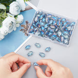 DIY Fish Stretch Bracelet Making Kits, Including Electroplate Glass Beads, Elastic Thread, Sky Blue, Beads: 100Pcs/box