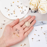 304 Stainless Steel Ear Stud Components, with Loop and Ear Nut, Ball, Golden & Stainless Steel Color, Ear Stud Component: 16x5mm, Hole: 1.6mm, Pin: 0.8mm, 40pcs/box, Ear Nut: 3x6x3mm, Hole: 0.8~1mm, 40pcs/box